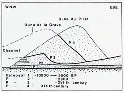 Paleosol levels of the Dune