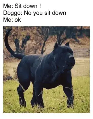 Text of a conversation between "Me" and "Doggo"