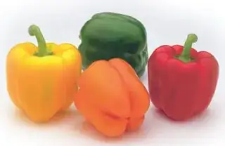 yellow, orange, red, and green bell peppers