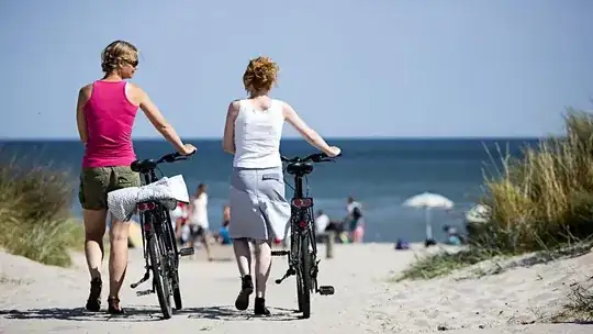 two people walking side-by-side pushing bicycles by their handlebars