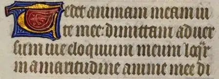 illustration of orthography due to which problems arose