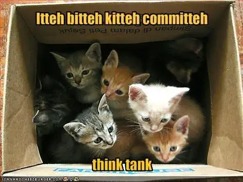 LOLCats picture of kittens in a box, captioned "itteh bitteh kitteh committeh: Think tank"
