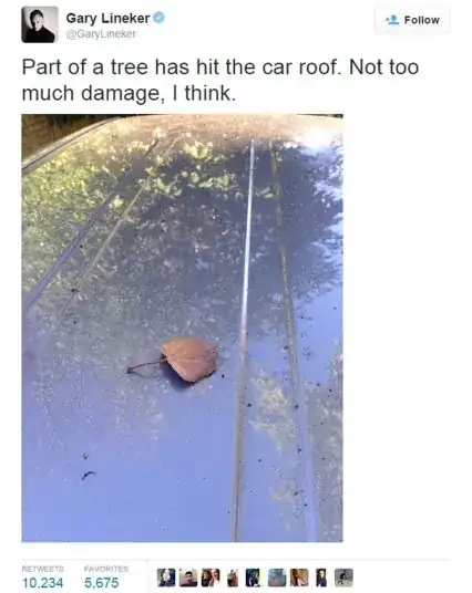 non-joke involving a leaf