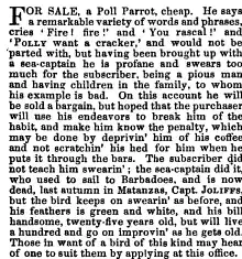 Bunkum Flag-Staf and Independent Echo, The Knickerbocker: Or, New-York Monthly Magazine, Volume 34, 1849
