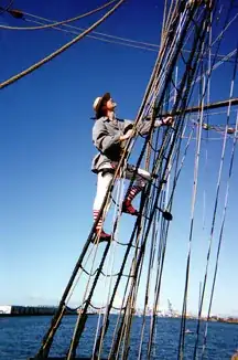 pirate doing pirate things