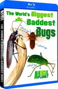 The World's Biggest & Baddest Bugs by Animal Planet