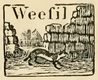 Old woodcut labelled “Weeſil”
