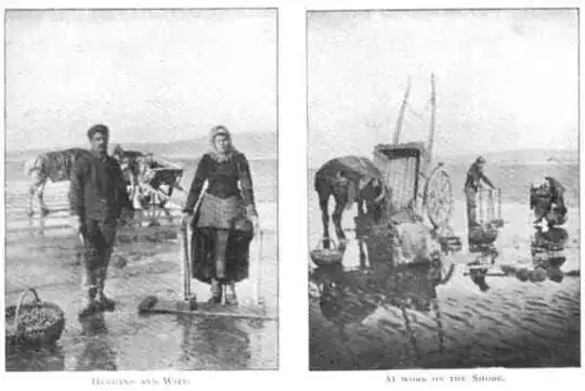 Morecambe Bay Cocklers (Date Uncertain)