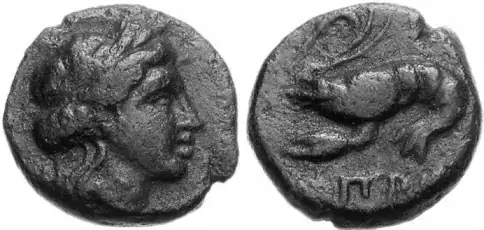 an ancient greek coin depicting crayfish/lobster