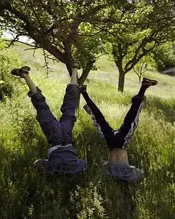 D'autres font le parallèle