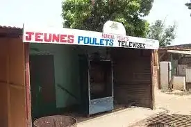 Jeunes Poulets Télévisés