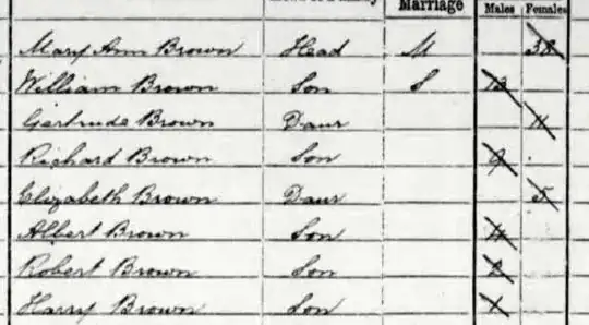 1891 Census