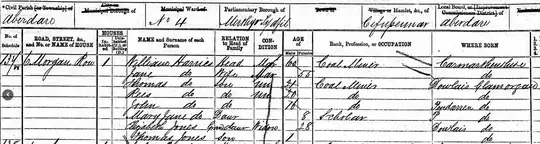 1871 census image