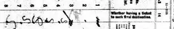Enlarged and rotated Column 14 Detail - kasper-1907-ships-manifest