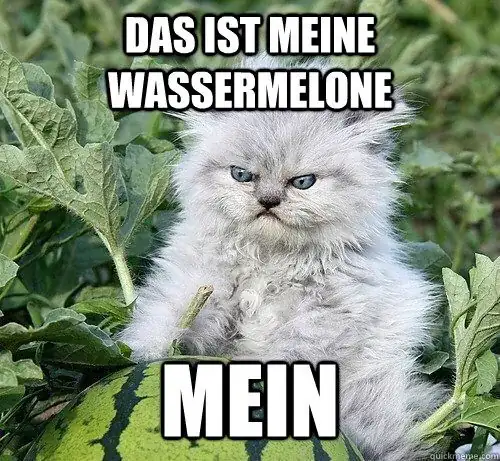 Mein Wassermelone