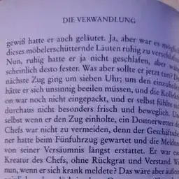 Beginning of Franz kafka's Die verwandlung