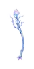 GBVS Ice Bough Staff.png