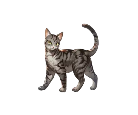 Npc zoom 3020072000 01.png