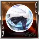 Phronesis Anima square.jpg