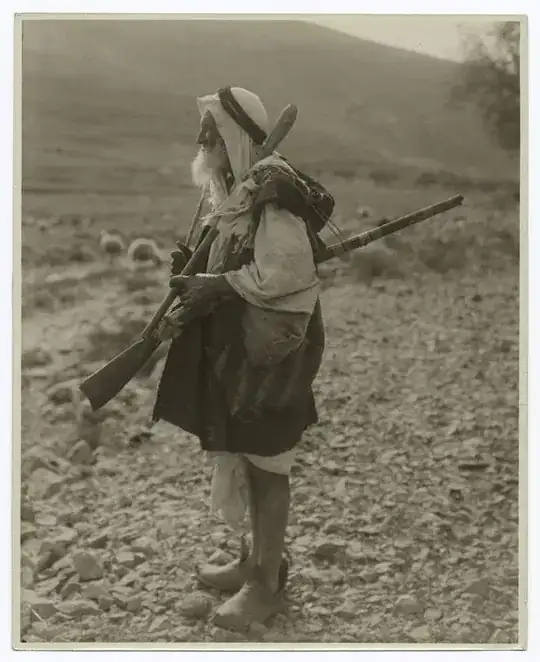 Palestine shepherd (ca. 1870-ca. 1900)