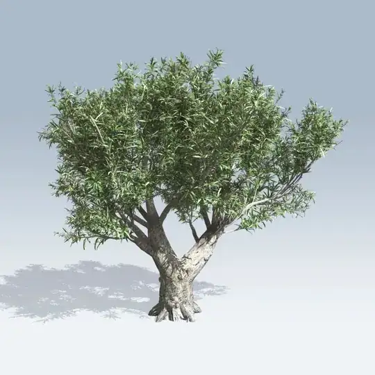 Bifurcated Olive Tree
