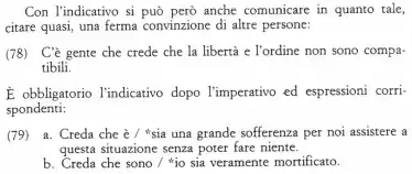 Grande grammatica di consultazione, vol. 2