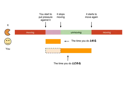 とめる vs とどめる