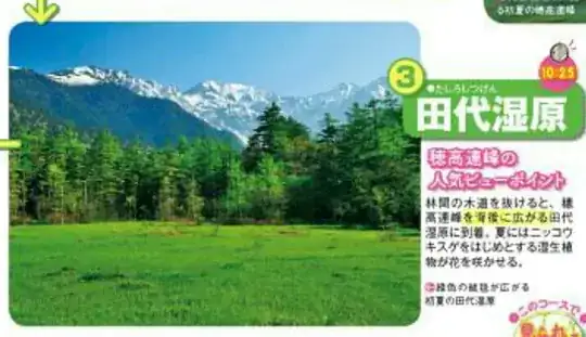 林間の木道を抜けると、穂高連峰を背後に広がる田代湿原に到着。