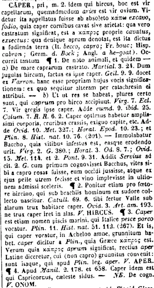 CĂPER, idem qui hircus, hoc est vir capellarum, quemadmodum aries est vir ovium