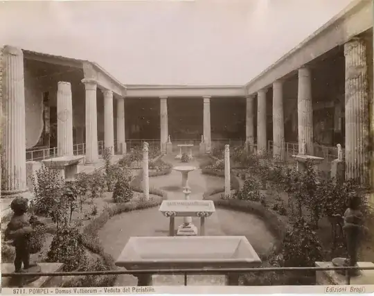 Origin of picture: https://upload.wikimedia.org/wikipedia/commons/a/a3/Brogi%2C_Carlo_%281850-1925%29_-_Pompei_-_Domus_Vettiorum_-_Veduta_del_peristilio_-_n._9711_-_ca._1896.jpg