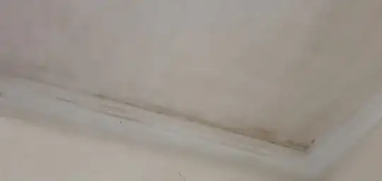 stains on the ceiling