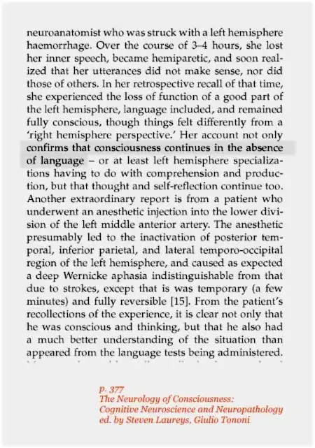 Thought without language