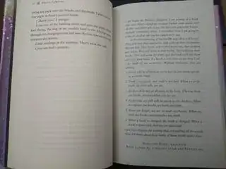 example of a long diary entry