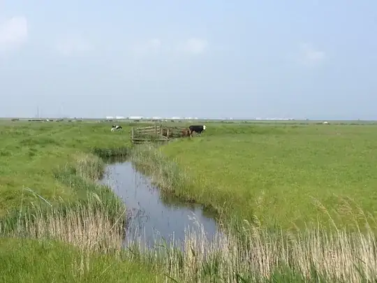 A flat grassy landscape with reeds in the foreground, a creek winding away from the camera towards a small group of cattle.