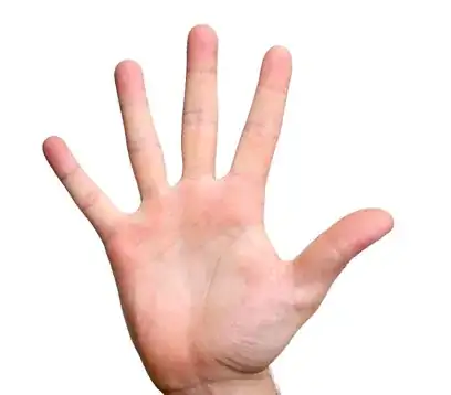 enter image description here