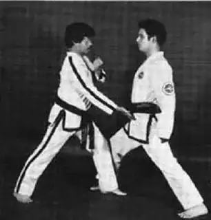 "Pubic region is the target"