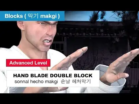 Double Knifehand Block