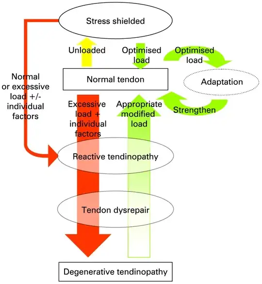 Chart of Tendon Therapy vs Injury based on load/stress levels