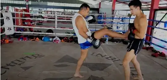 Image of a front teep being thrown at an opponent's guard