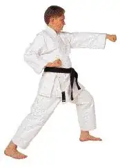 same here only lunge punch