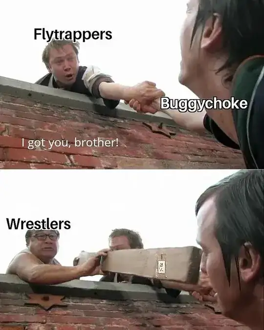 Meme 2 Attacking other martial arts styles.