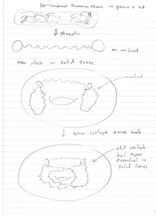 Michael Freedman's solution