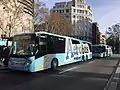 Areobus Buses in Plaça Catalunya