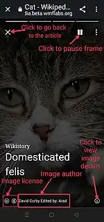 UOzurumba (WMF),  CC BY-SA 4.0, via Wikimedia Commons