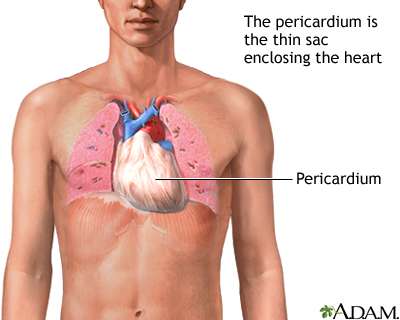 Pericardium Pericardium
