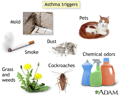 Asthma triggers