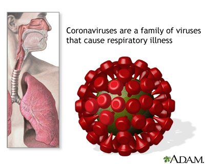 Coronavirus Coronavirus