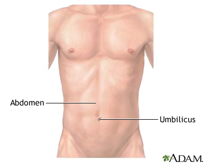 Normal external abdomen Normal external abdomen