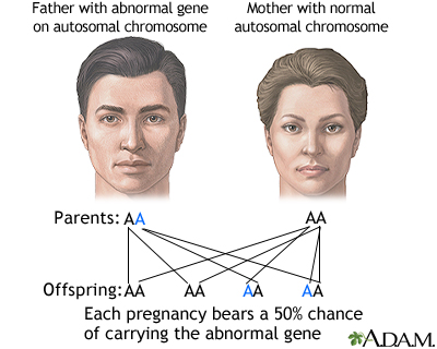 Autosomal dominant genes Autosomal dominant genes