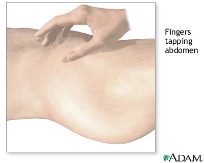 Percussion Percussion